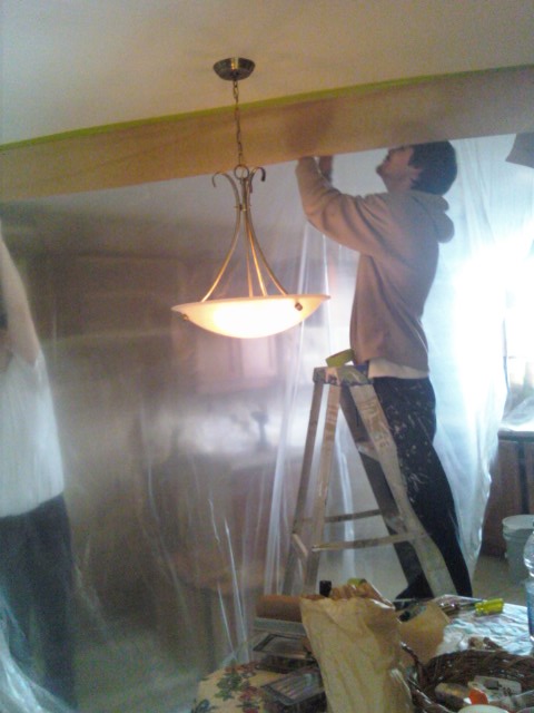 Hamilton house painters are the best house painters. Call 289-933-9935